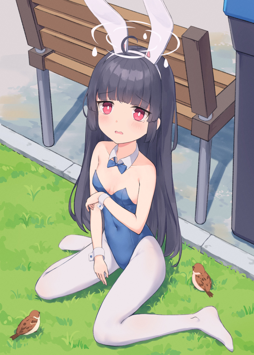 1girl absurdres ahoge animal_ears bare_shoulders bench bird black_hair blue_archive blue_leotard blush bow bowtie breasts covered_navel detached_collar fake_animal_ears highres leotard long_hair miyu_(blue_archive) mr_arme no_shoes open_mouth outdoors pantyhose playboy_bunny rabbit_ears red_eyes sitting small_breasts solo thighs white_legwear wrist_cuffs