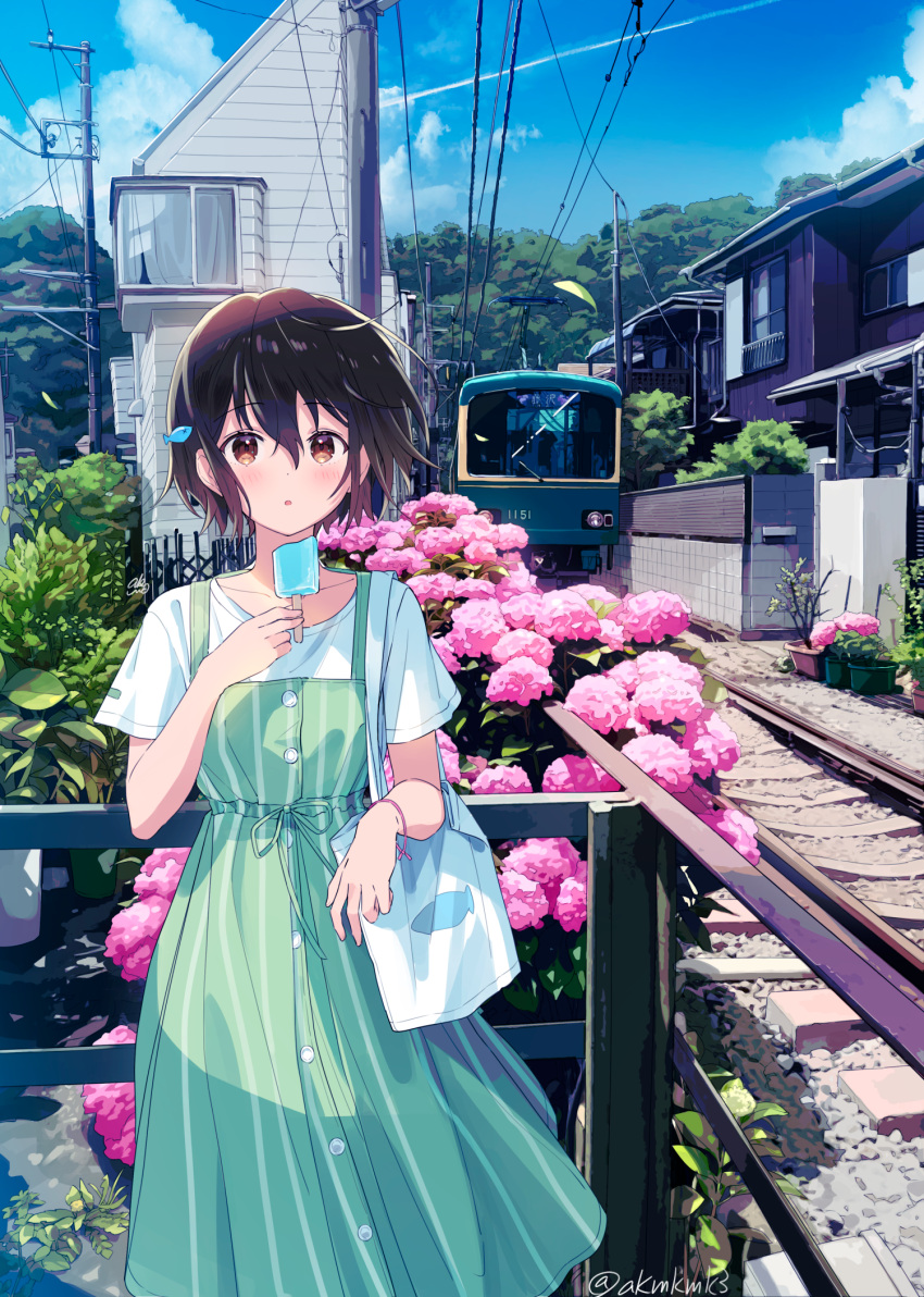 1girl :o akamoku bag banned_artist blue_sky blush brown_eyes brown_hair building collarbone dress enoshima_electric_railway fence flower food green_dress ground_vehicle hair_ornament hand_up highres holding holding_food hydrangea looking_at_viewer original outdoors parted_lips pink_flower plant popsicle scenery shirt short_hair short_sleeves signature sky sleeveless sleeveless_dress standing train utility_pole white_shirt