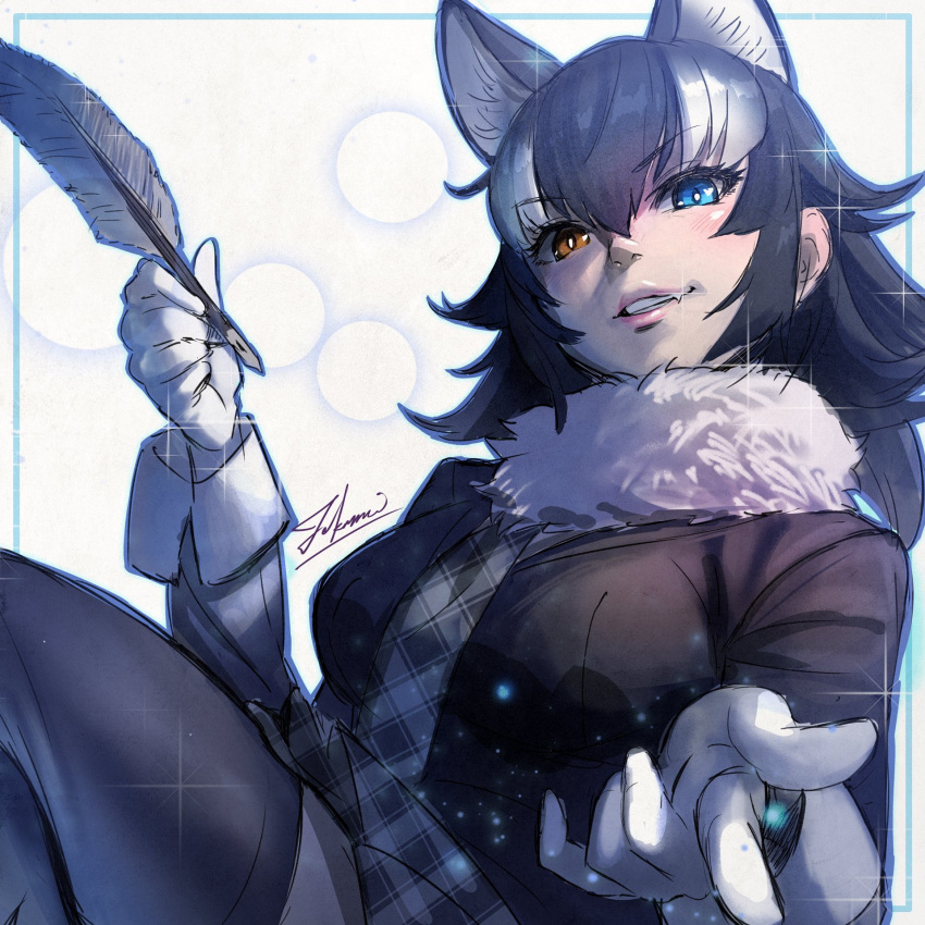 1girl animal_ears bangs black_hair blue_eyes bright_pupils eyebrows_visible_through_hair fang fang_out fur_collar gloves grey_wolf_(kemono_friends) grin hair_between_eyes heterochromia highres holding jacket kemono_friends lips long_sleeves looking_at_viewer miniskirt multicolored_hair necktie orange_eyes plaid plaid_necktie plaid_skirt sketch skirt smile solo sparkle takami_masahiro thigh-highs two-tone_hair upper_body white_hair white_pupils wolf_ears zettai_ryouiki