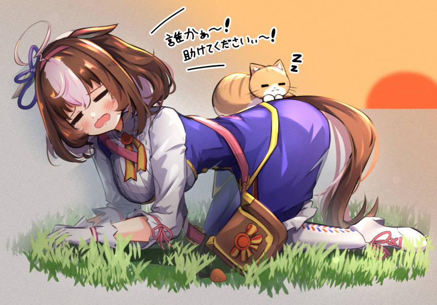 1girl =_= ahoge all_fours animal_ears bag blush cat commentary_request crying emsan full_body grass handbag headband highres horse_ears horse_girl horse_tail medium_hair meisho_doto_(umamusume) open_mouth pantyhose simple_background solo sunset tail translation_request umamusume white_background zzz