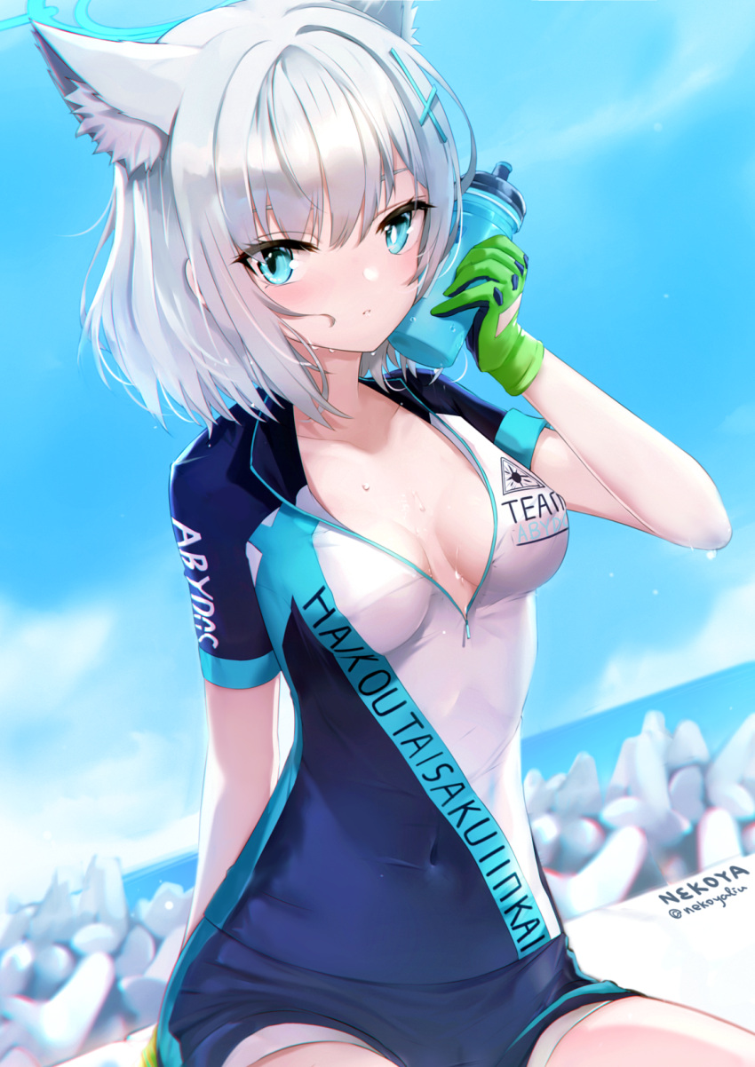 1girl animal_ear_fluff animal_ears artist_name bangs bike_jersey bike_shorts blue_archive blue_eyes blue_sky blush bottle bottle_to_cheek breasts breasts_apart clothes_writing commentary_request covered_navel day extra_ears gloves green_gloves grey_hair halo highres holding holding_bottle looking_at_viewer medium_breasts nekoya_(liu) outdoors parted_lips shiroko_(blue_archive) shiroko_(cycling)_(blue_archive) short_hair short_sleeves sitting sky solo squeeze_bottle sweat twitter_username
