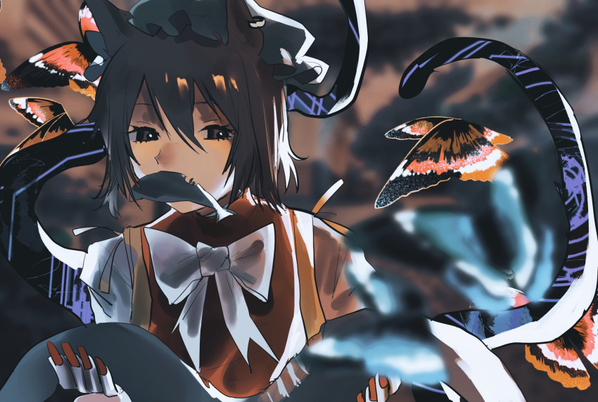 1girl animal_ears bow bowtie brown_eyes brown_hair bug butterfly cat_ears cat_tail chen commentary eel fingernails fish green_headwear hair_between_eyes hat heinrich_(fernanderuddle) highres holding long_fingernails looking_at_viewer mob_cap mouth_hold multiple_tails red_nails red_tabard shirt short_hair solo tabard tail touhou two_tails upper_body white_bow white_bowtie white_shirt
