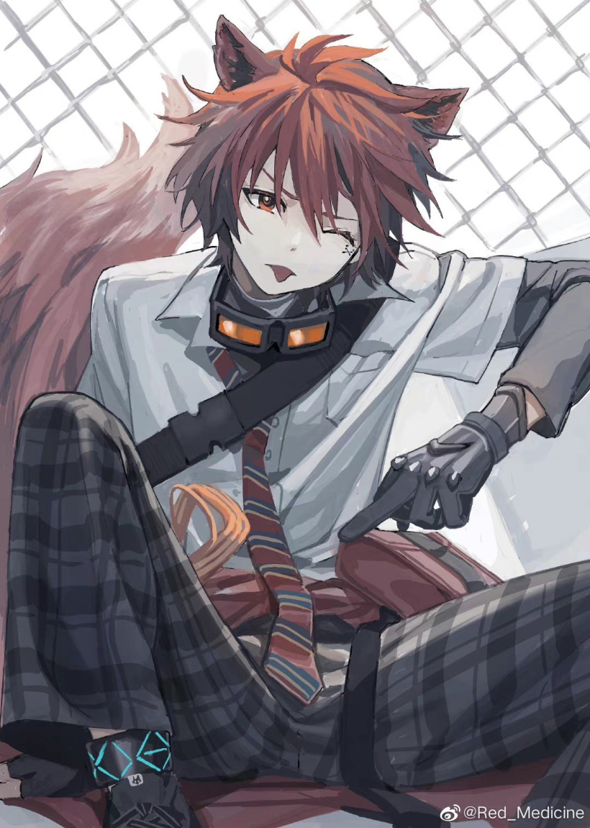 1boy animal_ears arknights black_gloves chiave_(arknights) gloves goggles highres infection_monitor_(arknights) male_focus middle_finger necktie one_eye_closed red_eyes red_medicine redhead school_uniform shirt short_hair sitting solo spread_legs tail tongue tongue_out white_shirt wolf_boy wolf_ears wolf_tail