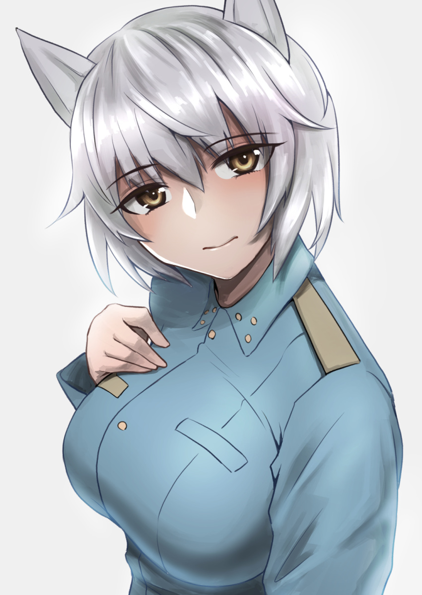 1girl aila_paivikki_linnamaa animal_ears blue_jacket dutch_angle eyebrows_visible_through_hair eyes_visible_through_hair grey_background grey_hair hand_on_own_chest highres idol_witches jacket liar_lawyer looking_at_viewer solo strike_witches uniform upper_body wolf_ears wolf_girl world_witches_series yellow_eyes