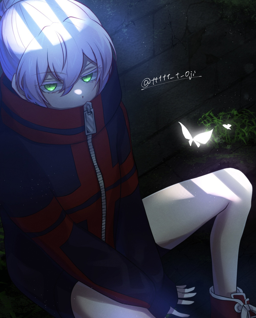 0roshioji3ran 1girl akashi_senju bangs black_jacket bug butterfly covered_mouth foot_out_of_frame green_eyes hair_between_eyes high_collar highres jacket knees_up long_sleeves multicolored_clothes multicolored_jacket red_jacket short_hair sitting sleeves_past_wrists solo tokyo_revengers twitter_username two-tone_jacket white_hair zipper