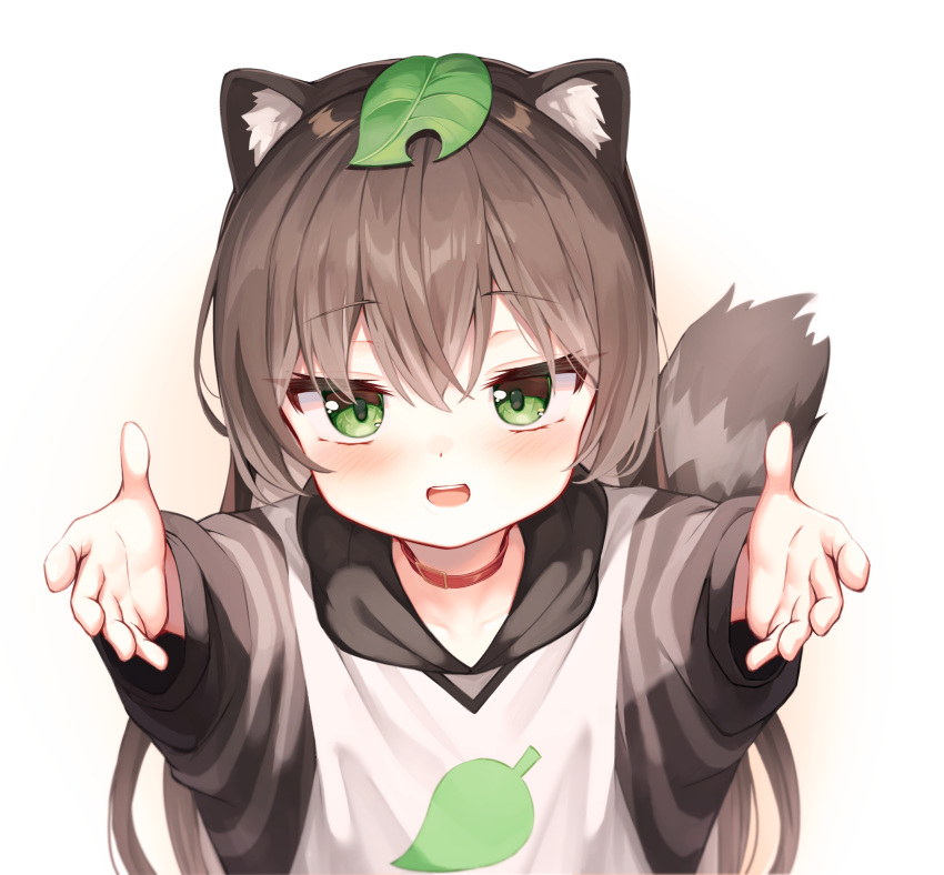 1girl :d animal_ears bangs blush brown_hair collar commentary_request eyebrows_visible_through_hair green_eyes hair_between_eyes highres hood hood_down hoodie leaf leaf_on_head long_hair looking_at_viewer mannack original outstretched_arms raccoon_ears raccoon_girl raccoon_tail reaching_out red_collar smile solo tail tail_raised teeth upper_body upper_teeth very_long_hair white_background white_hoodie