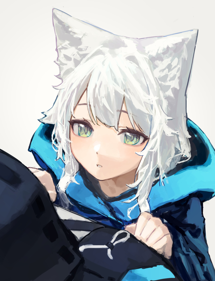 1girl 1other absurdres animal_ear_fluff animal_ears arknights bangs black_coat cat_ears coat doctor_(arknights) eyebrows_visible_through_hair from_above green_eyes hands_on_another's_chest highres hood hood_down hooded_coat long_hair looking_at_another looking_up parted_lips rosmontis_(arknights) simple_background solo_focus upper_body white_background white_hair yoon_cook