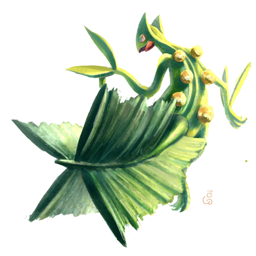commentary_request from_behind full_body highres looking_at_viewer looking_back masshu_(shu_123426) no_humans open_mouth pokemon pokemon_(creature) procreate_(medium) sceptile simple_background solo white_background