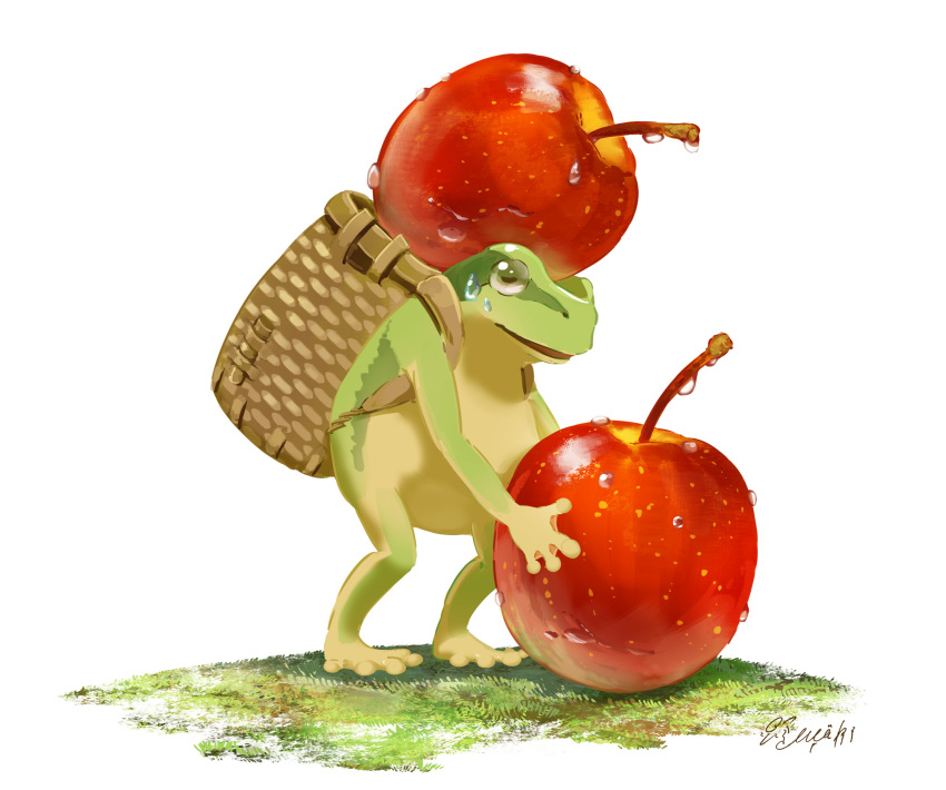 1other animal apple basket commentary_request creature creature_and_personification fantasy food frog fruit full_body grass hachiya_shohei highres holding holding_basket holding_food holding_fruit no_humans open_mouth original outdoors personification simple_background solo sweat water_drop webbed_hands white_background