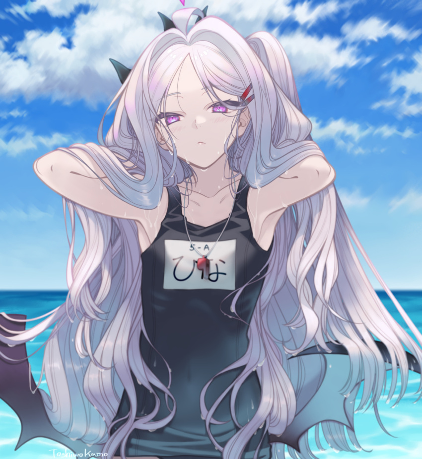 1girl absurdly_long_hair ahoge armpits arms_up bangs blue_archive blue_sky blue_swimsuit clouds demon_wings expressionless grey_hair hair_ornament hairpin halo hands_in_hair highres hina_(blue_archive) horizon long_hair looking_at_viewer name_tag one-piece_swimsuit one_side_up outdoors parted_bangs school_swimsuit skin_tight sky solo swimsuit toshio upper_body very_long_hair violet_eyes wet wet_hair whistle wings
