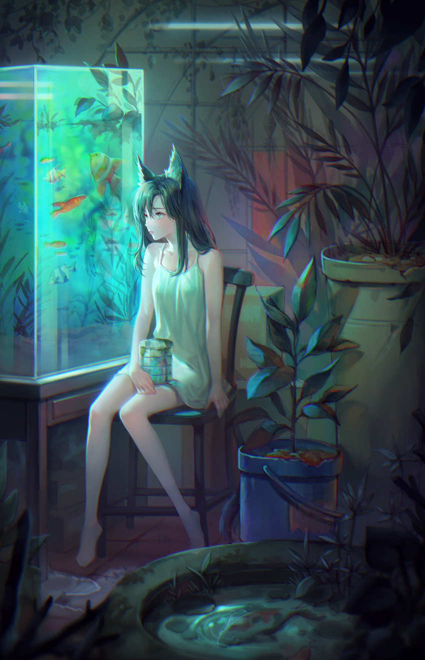 1girl animal_ear_fluff animal_ears black_hair breasts chair closed_mouth diami dress fish fish_tank goldfish grey_eyes highres indoors long_hair on_chair original plant potted_plant short_dress sitting sleeveless sleeveless_dress small_breasts solo white_dress