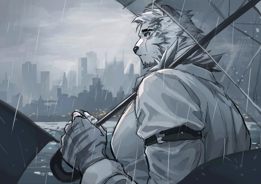1boy alternate_costume animal_ears arknights arm_belt cityscape clouds cloudy_sky from_side furry furry_male highres holding holding_umbrella lalatia-meai large_pectorals male_focus mountain_(arknights) muscular muscular_male pectorals rain scar scar_across_eye scar_on_face short_hair sky solo thick_eyebrows tiger_boy tiger_ears umbrella upper_body white_fur white_hair
