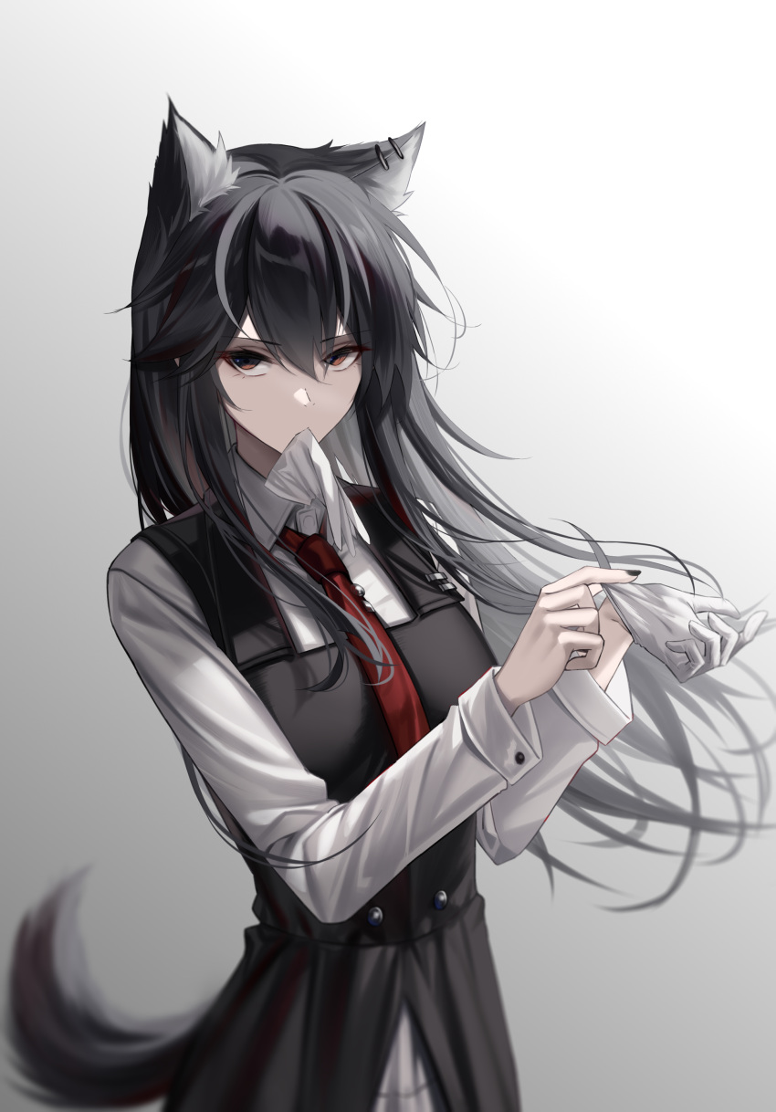 1girl absurdres alternate_costume animal_ears arknights black_dress black_hair black_nails brown_eyes collared_shirt dress ear_piercing glove_in_mouth gloves grey_background hair_between_eyes hands_up highres long_hair looking_at_viewer mouth_hold necktie piercing red_necktie shirt shokuyou_koori simple_background single_glove solo square_neckline tail texas_(arknights) upper_body white_gloves white_shirt wolf_ears wolf_girl wolf_tail
