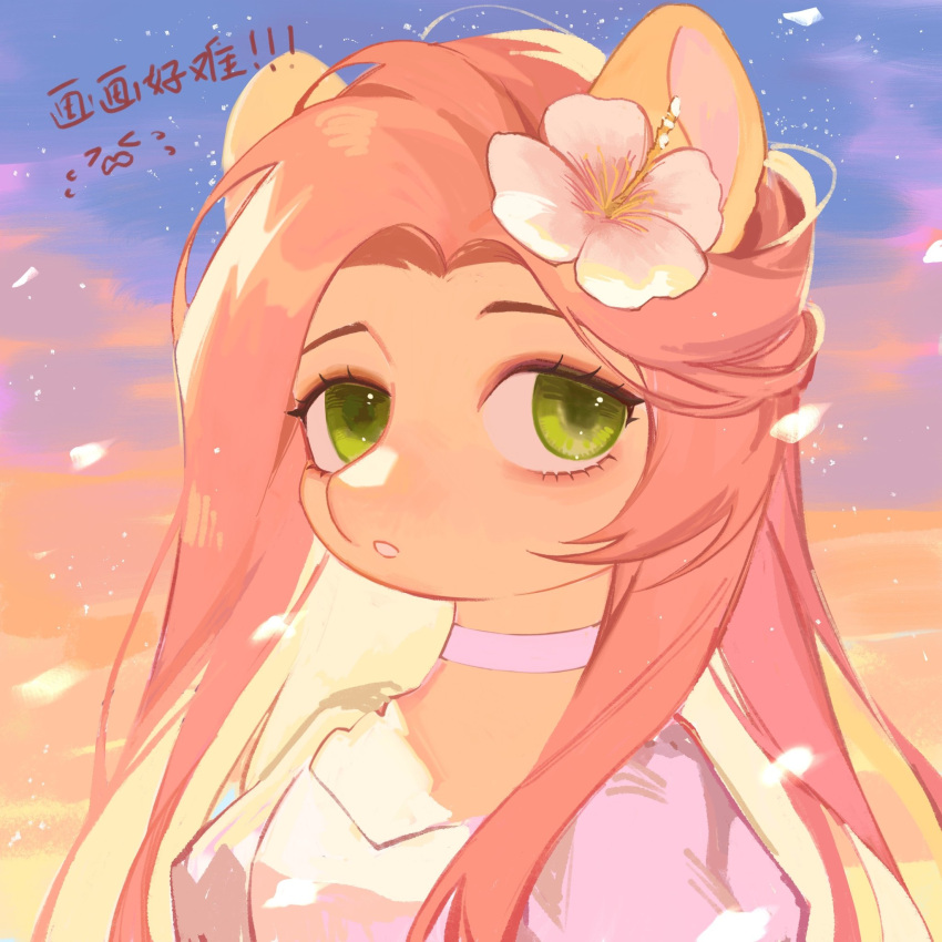 1girl animal choker dress falling_petals flower fluttershy green_eyes hair_flower hair_ornament highres long_hair my_little_pony my_little_pony_friendship_is_magic no_humans petals pink_hair pony portrait sky solo sunset white_dress xieyanbbb