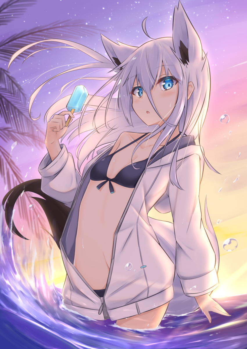 1girl animal_ears bikini breasts collarbone eyebrows_visible_through_hair food fox_ears fox_girl fox_tail front-tie_bikini front-tie_top grey_hair highres holding holding_food jacket long_hair looking_at_viewer open_clothes open_jacket open_mouth original popsicle small_breasts solo swimsuit tail yukishiro_haku