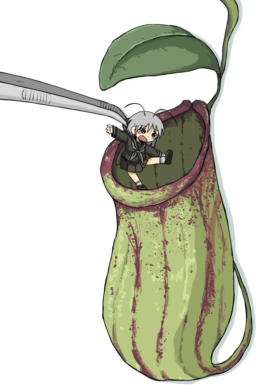 1girl absurdres antennae arthropod_girl black_serafuku carnivorous_plant d: grey_hair highres kishimen_udn leaf minigirl original pitcher_plant plant school_uniform serafuku tears tweezers white_background