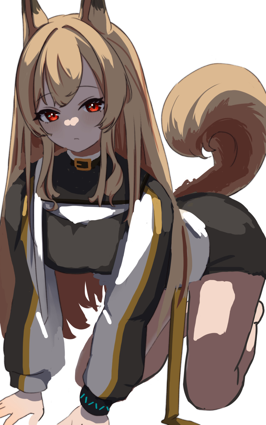 1girl absurdres all_fours animal_ears arknights binware black_wristband brown_coat brown_hair ceobe_(arknights) coat dog_ears dog_girl dog_tail highres infection_monitor_(arknights) long_hair looking_at_viewer red_eyes simple_background sketch solo tail white_background