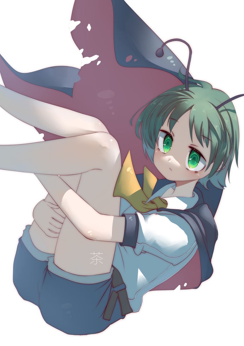 1girl absurdres androgynous antennae ascot bangs black_cape blue_shorts blush cape closed_mouth collared_shirt commentary_request expressionless eyebrows_visible_through_hair feet_out_of_frame green_eyes green_hair highres hugging_own_legs looking_at_viewer penglai_tea red_cape shirt short_hair short_sleeves shorts simple_background solo torn_cape torn_clothes touhou two-sided_cape two-sided_fabric white_background white_shirt wriggle_nightbug yellow_ascot