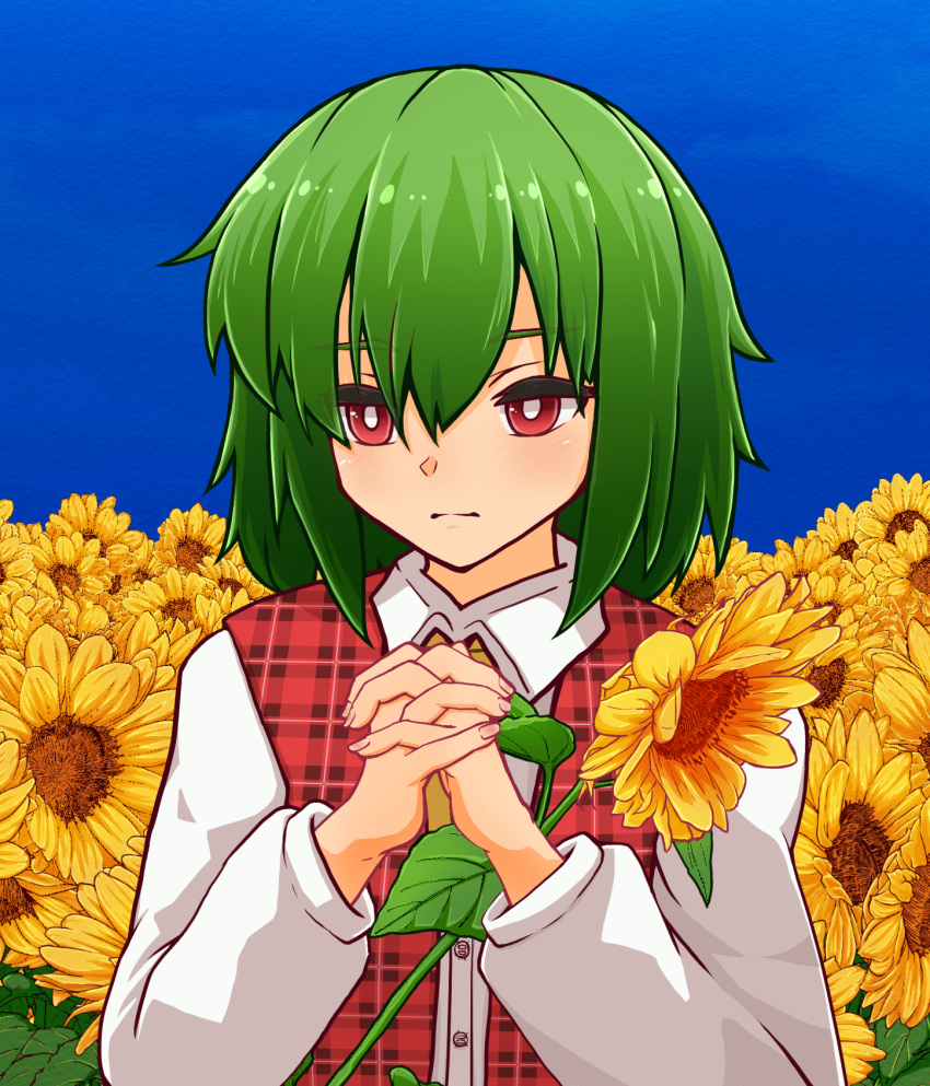 1girl ascot bangs blue_sky bright_pupils closed_mouth collared_shirt commentary_request expressionless field flower flower_field garden_of_the_sun green_hair hair_between_eyes highres holding holding_flower interlocked_fingers kazami_yuuka kide_koushin long_sleeves looking_at_viewer outdoors own_hands_together plaid plaid_vest red_eyes red_vest shirt short_hair sky solo sunflower touhou upper_body vest white_pupils white_shirt yellow_ascot yellow_flower
