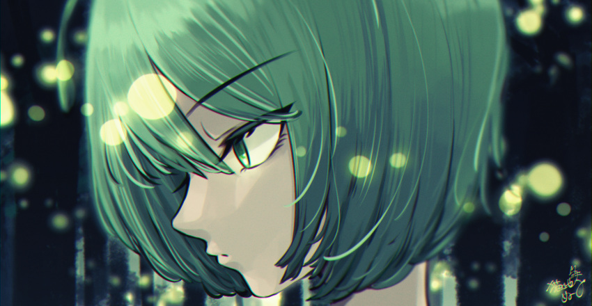 1girl antennae bangs closed_mouth commentary_request expressionless eyebrows_visible_through_hair face green_eyes green_hair hair_between_eyes highres nukojinuko short_hair signature solo touhou wriggle_nightbug