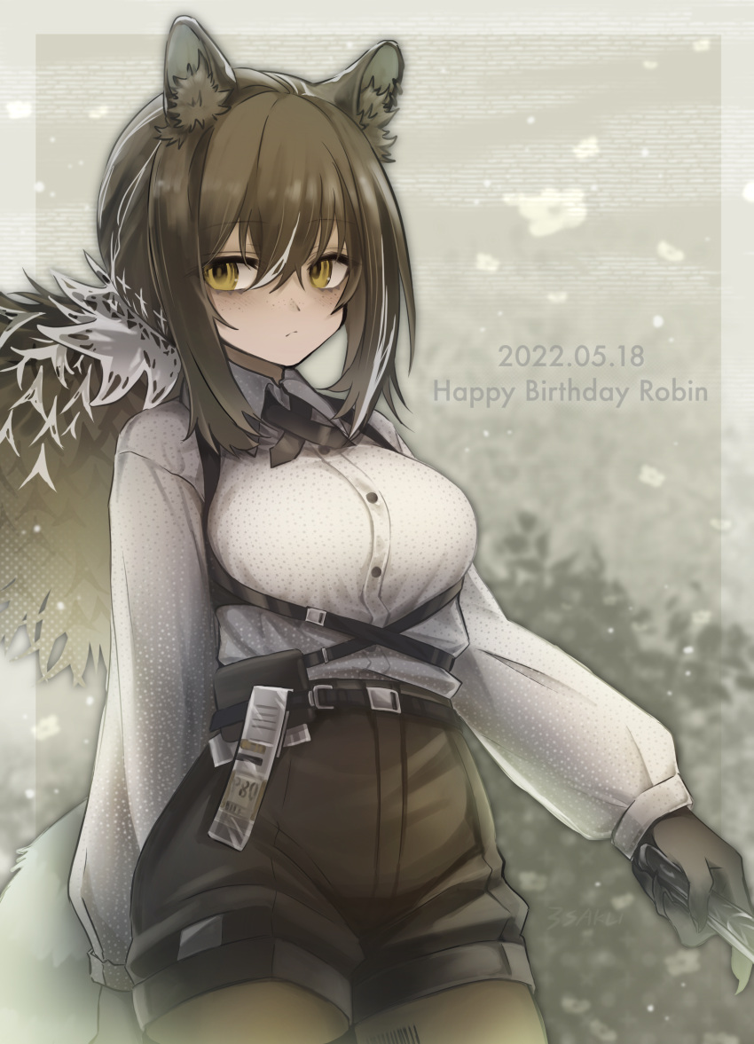 1girl 3_(sanyako1) absurdres animal_ear_fluff animal_ears arknights bags_under_eyes bangs barcode belt black_gloves black_shorts breasts brown_hair brown_legwear character_name closed_mouth collared_shirt dated eyebrows_visible_through_hair gloves grey_background happy_birthday high-waist_shorts highres holding large_breasts legwear_under_shorts long_hair long_sleeves looking_at_viewer pantyhose ponytail puffy_long_sleeves puffy_sleeves raccoon_ears robin_(arknights) shirt shorts sidelocks solo underbust white_shirt yellow_eyes
