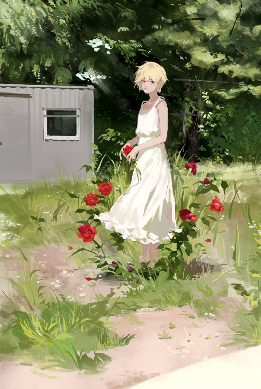 1boy :| aimitkkays bangs blonde_hair chain closed_mouth commentary crossdressing day dress earrings eyebrows_behind_hair flower full_body grass highres hunter_x_hunter jewelry kurapika long_dress looking_at_viewer male_focus otoko_no_ko outdoors red_eyes red_flower red_rose rose short_hair sleeveless sleeveless_dress solo standing sundress tree white_dress