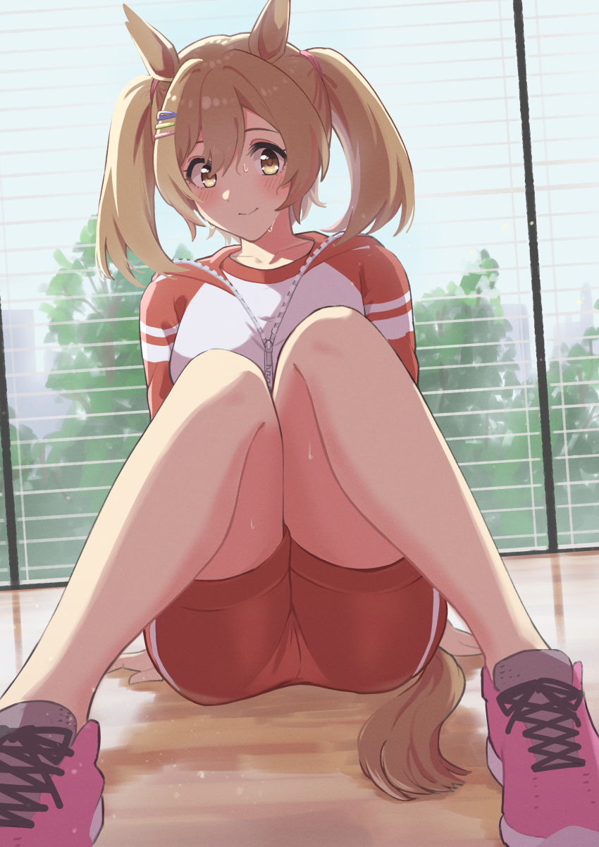 1girl absurdres animal_ears arm_support bangs blush brown_hair closed_mouth hair_ornament hairclip highres horse_ears horse_girl horse_tail indoors jacket knees_up looking_at_viewer medium_hair pink_footwear red_jacket red_shorts shirt shoes shorts sitting smart_falcon_(umamusume) smile sneakers solo sweat tail takayamato track_jacket twintails umamusume white_shirt window wooden_floor yellow_eyes