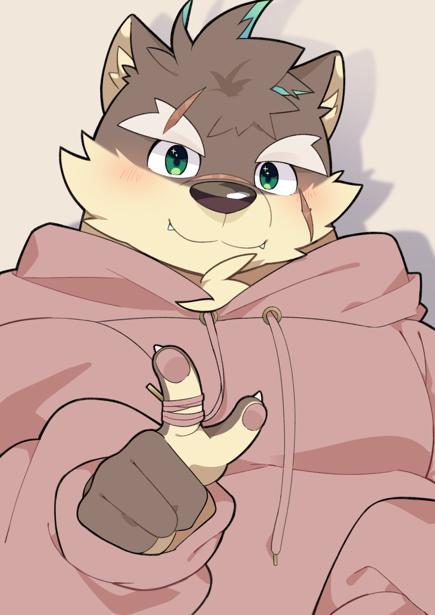 1boy absurdres animal_ears animal_nose aqua_hair blush brown_fur brown_hair chest_tuft closed_mouth dog_boy dog_ears eyebrow_cut fangs furry furry_male green_eyes grey_background highres hood hoodie long_sleeves male_focus moritaka_(housamo) multicolored_hair pink_hoodie scar scar_on_cheek scar_on_face shadow shiro_choko simple_background smile snout solo thick_eyebrows tokyo_afterschool_summoners two-tone_fur two-tone_hair upper_body yellow_fur