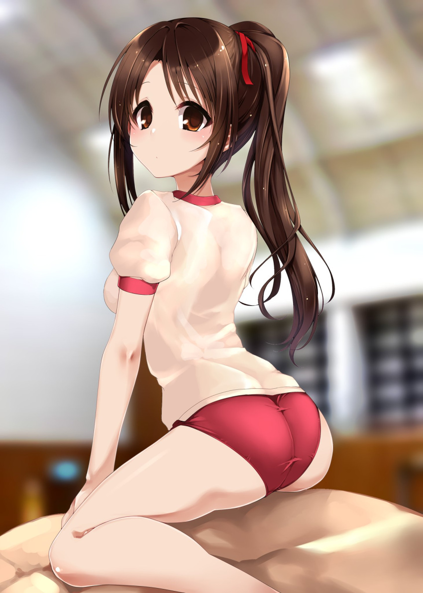 arm_support ass back bangs blurry blurry_background breasts brown_eyes brown_hair buruma commentary_request expressionless eyebrows_visible_through_hair hair_ribbon highres idolmaster idolmaster_cinderella_girls indoors legs light_blush long_hair looking_at_viewer looking_back medium_breasts paopao ponytail red_buruma red_ribbon ribbon shimamura_uzuki shirt short_sleeves sitting solo thighs white_shirt