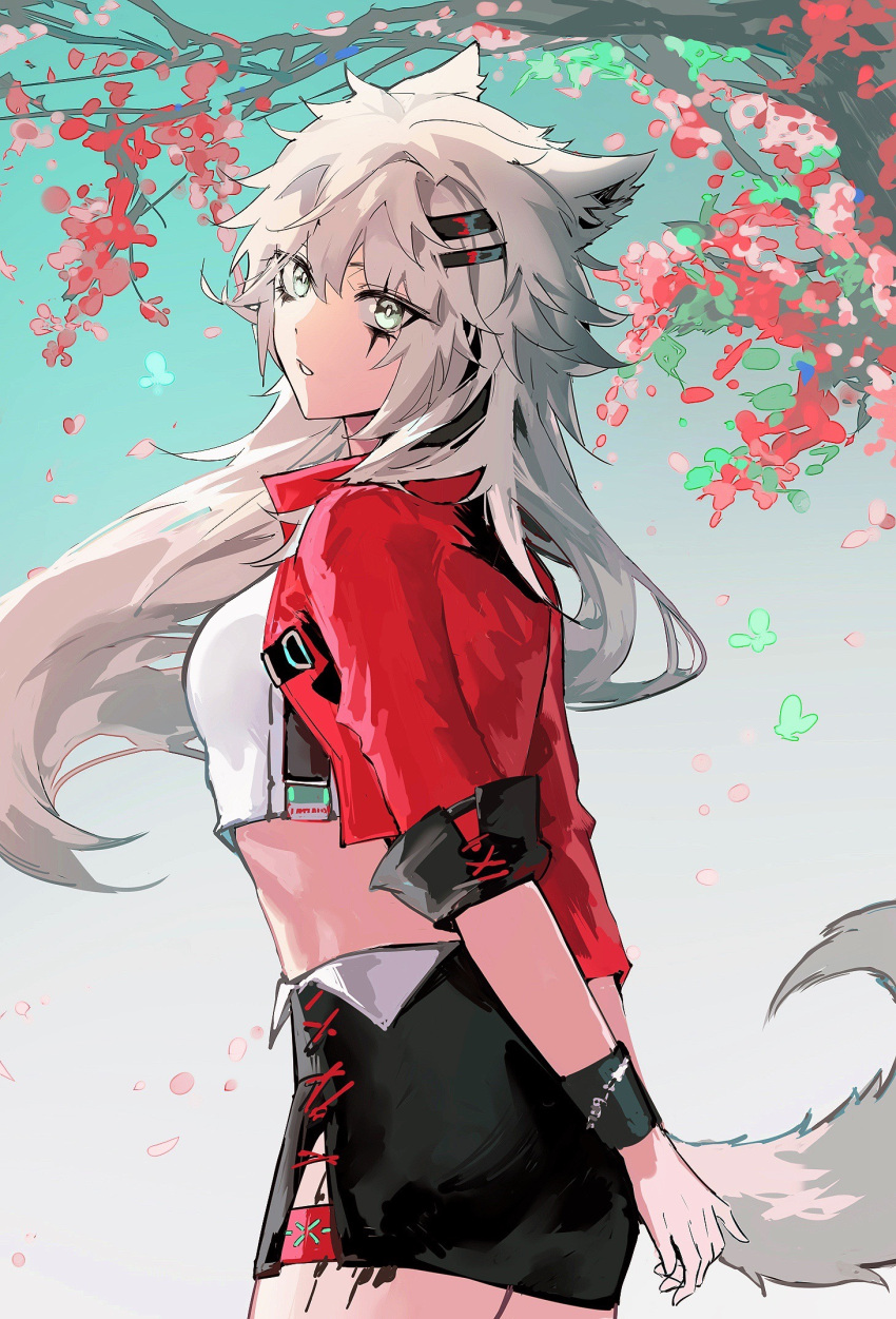 1girl alternate_costume animal_ears arknights arms_behind_back black_skirt cherry_blossoms cowboy_shot cropped_shirt gradient gradient_background green_background grey_eyes hair_ornament hairclip highres infection_monitor_(arknights) jacket lappland_(arknights) long_hair looking_at_viewer minilang open_clothes open_jacket oripathy_lesion_(arknights) parted_lips red_jacket shirt skirt solo tail thigh_strap tree white_hair white_shirt wolf_ears wolf_girl wolf_tail