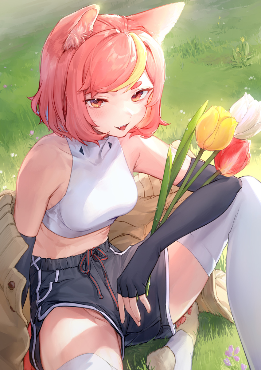 1girl :d absurdres animal_ears animal_feet bangs black_gloves black_shorts blonde_hair blue_hair brown_jacket cat_ears commentary dyed_bangs elbow_gloves elbow_on_knee elbow_rest eyebrows_behind_hair fang fingerless_gloves flower gloves grass highres holding holding_flower jacket knee_up light_blush lingxia looking_at_viewer medium_hair midriff multicolored_hair off_shoulder open_mouth orange_eyes outdoors pink_hair shirt shorts sidelighting sitting sleeveless sleeveless_shirt smile solo spread_legs stirrup_legwear streaked_hair sunlight swept_bangs symbol-only_commentary thick_eyebrows thigh-highs toeless_legwear toeless_socks turtleneck white_legwear white_shirt