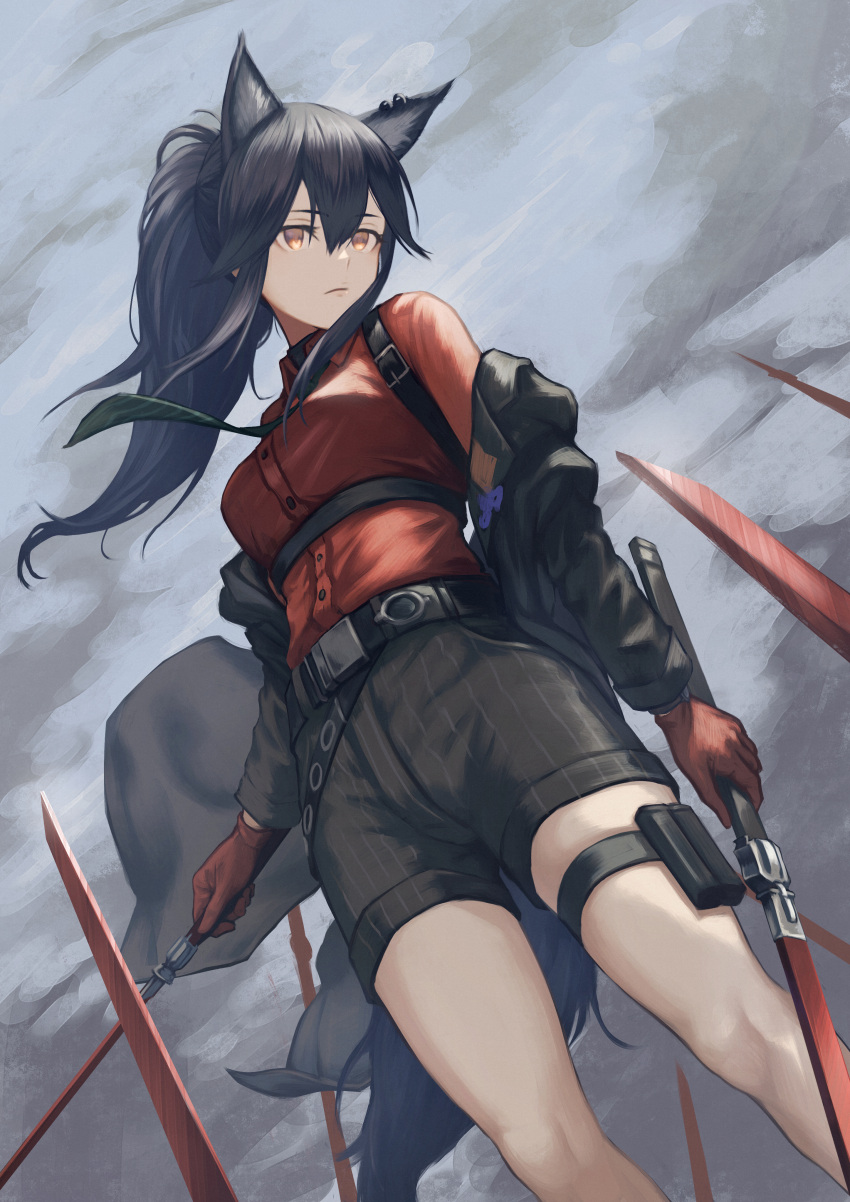 1girl absurdres animal_ears arknights black_hair black_jacket black_shorts clouds cloudy_sky collared_shirt dual_wielding dutch_angle feet_out_of_frame from_below gloves green_necktie grey_sky hair_between_eyes highres holding jacket long_hair long_sleeves necktie off_shoulder official_alternate_costume outdoors planted planted_sword ponytail red_gloves red_shirt shirt shorts sidelocks sky solo striped striped_necktie striped_shorts sword texas_(arknights) texas_(willpower)_(arknights) thigh_strap weapon wolf_ears yasu_(segawahiroyasu) yellow_eyes