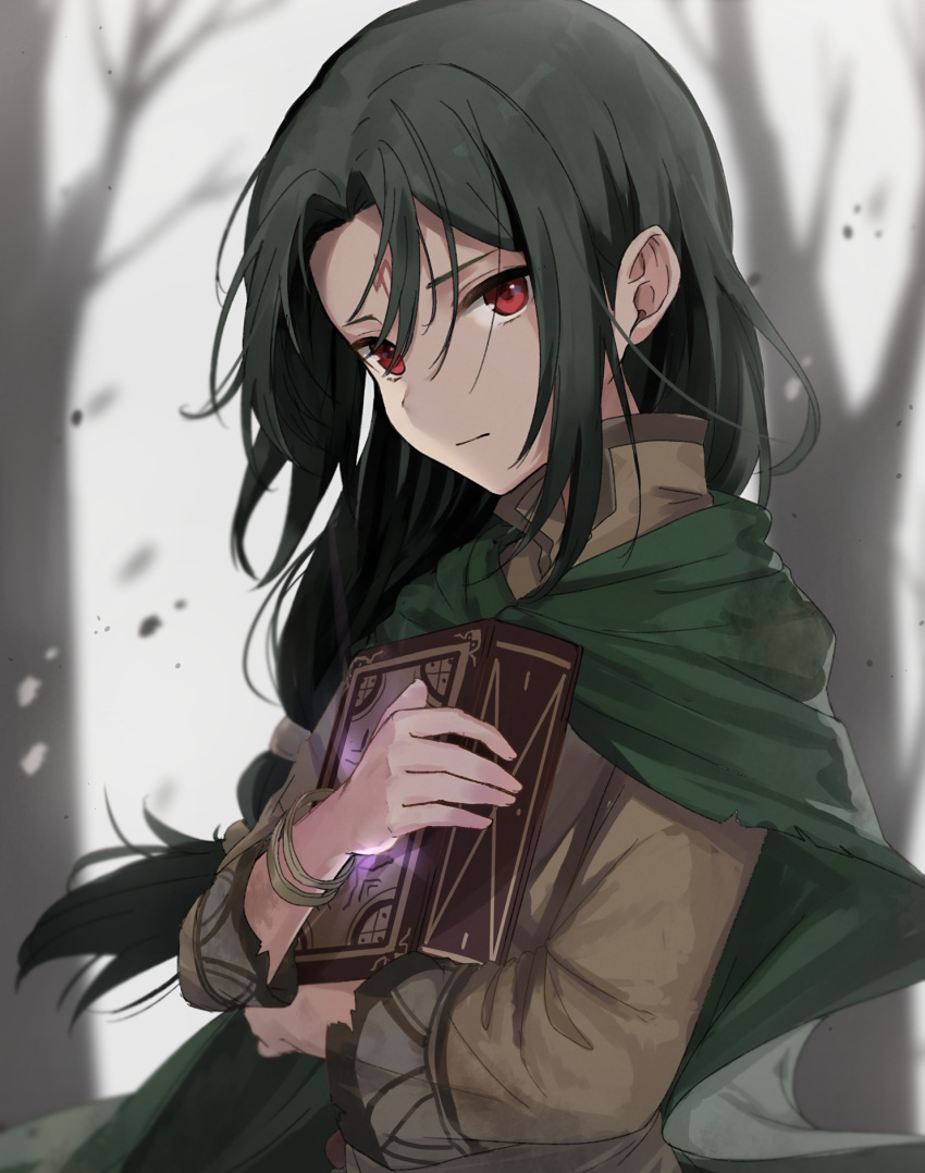 1boy black_hair book book_hug cape child eyebrows_visible_through_hair facial_mark fire_emblem fire_emblem:_path_of_radiance forehead_mark glowing green_cape haru_(nakajou-28) highres holding holding_book long_hair long_sleeves looking_at_viewer object_hug outdoors ponytail red_eyes solo soren_(fire_emblem) tree upper_body younger