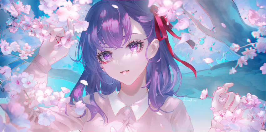 1girl bangs cherry_blossoms chinese_commentary commentary_request dress expressionless fate/stay_night fate_(series) flower hair_ribbon hand_up heaven's_feel highres level02 long_hair long_sleeves looking_at_viewer matou_sakura petals petals_in_mouth pink_flower purple_hair red_ribbon ribbon shiny shiny_hair solo violet_eyes