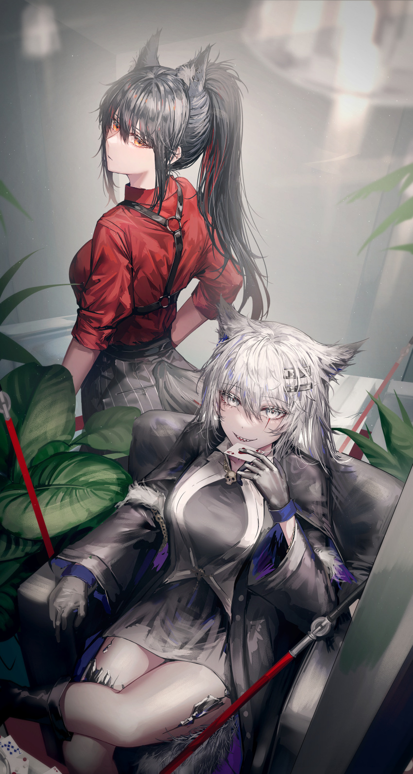 2girls absurdres ace_of_hearts akqne animal_ears arknights armchair black_hair black_jacket black_shirt black_shorts breasts card chair extra_ears feet_out_of_frame from_behind gloves grey_eyes grey_hair hair_between_eyes hair_ornament hairclip hand_up heart highres holding holding_card indoors jacket lappland_(arknights) lappland_(refined_horrormare)_(arknights) leaf long_hair long_sleeves looking_at_viewer medium_breasts multicolored_hair multiple_girls official_alternate_costume open_clothes open_jacket oripathy_lesion_(arknights) parted_lips plant ponytail red_gloves red_shirt redhead scar scar_across_eye seven_of_spades sharp_teeth shiny shiny_hair shirt shorts sidelocks skull_ornament sleeves_past_elbows streaked_hair striped striped_shorts sword tail tail_through_clothes teeth texas_(arknights) texas_(willpower)_(arknights) watch watch weapon wolf_ears wolf_girl wolf_tail yellow_eyes