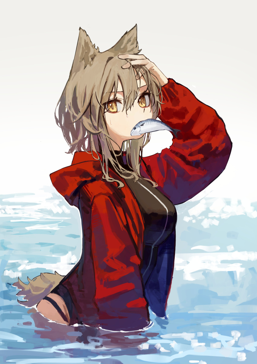 1girl absurdres animal_ears arknights bangs black_swimsuit breasts brown_hair casual_one-piece_swimsuit fish hand_in_own_hair hand_up highres hood hood_down hooded_jacket jacket long_hair long_sleeves looking_at_viewer medium_breasts mouth_hold one-piece_swimsuit projekt_red_(arknights) projekt_red_(light_breeze)_(arknights) red_jacket solo swimsuit tail upper_body wading water wet wet_hair yellow_eyes yoon_cook