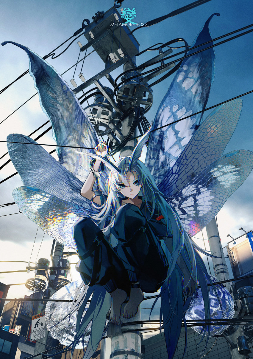 1girl 86_(nononononoway) absurdres antennae arthropod_girl barefoot blue_eyes blue_hair butterfly_wings cityscape cuffs english_text expressionless handcuffs highres insect_wings knees_up long_hair looking_at_viewer moth_girl multiple_wings original pants power_lines short_sleeves sitting solo utility_pole wings
