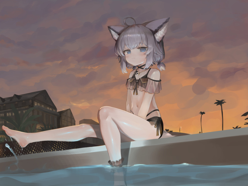 1girl ahoge animal_ear_fluff animal_ears arknights barefoot bikini black_bikini blue_eyes building clouds dokomon dusk feet fox_ears fox_tail grey_hair highres leg_up legs low_twintails outdoors pool poolside short_hair short_twintails sitting sky soaking_feet solo sussurro_(arknights) swimsuit tail thighs toes twintails