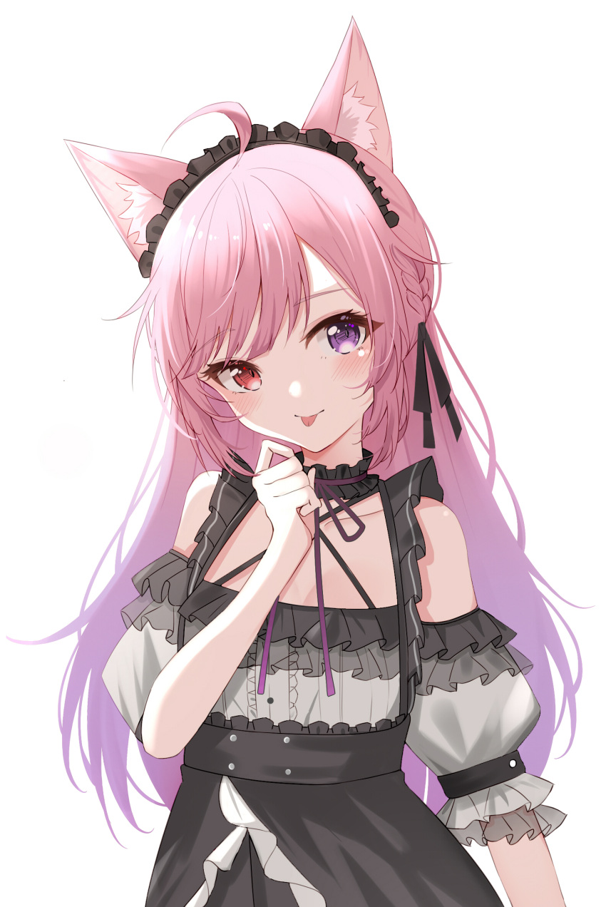 ahoge animal_ears bangs black_dress black_ribbon braid cat_ears collar cowboy_shot dreamoon dress eyebrows_visible_through_hair frilled_collar frilled_skirt frilled_straps frills hair_ribbon hand_on_own_chin heterochromia highres indie_virtual_youtuber lolita_fashion looking_at_viewer mikeneko_(utaite) multicolored_hair pink_hair puffy_short_sleeves puffy_sleeves red_eyes ribbon short_sleeves simple_background skirt tongue tongue_out violet_eyes virtual_youtuber white_background