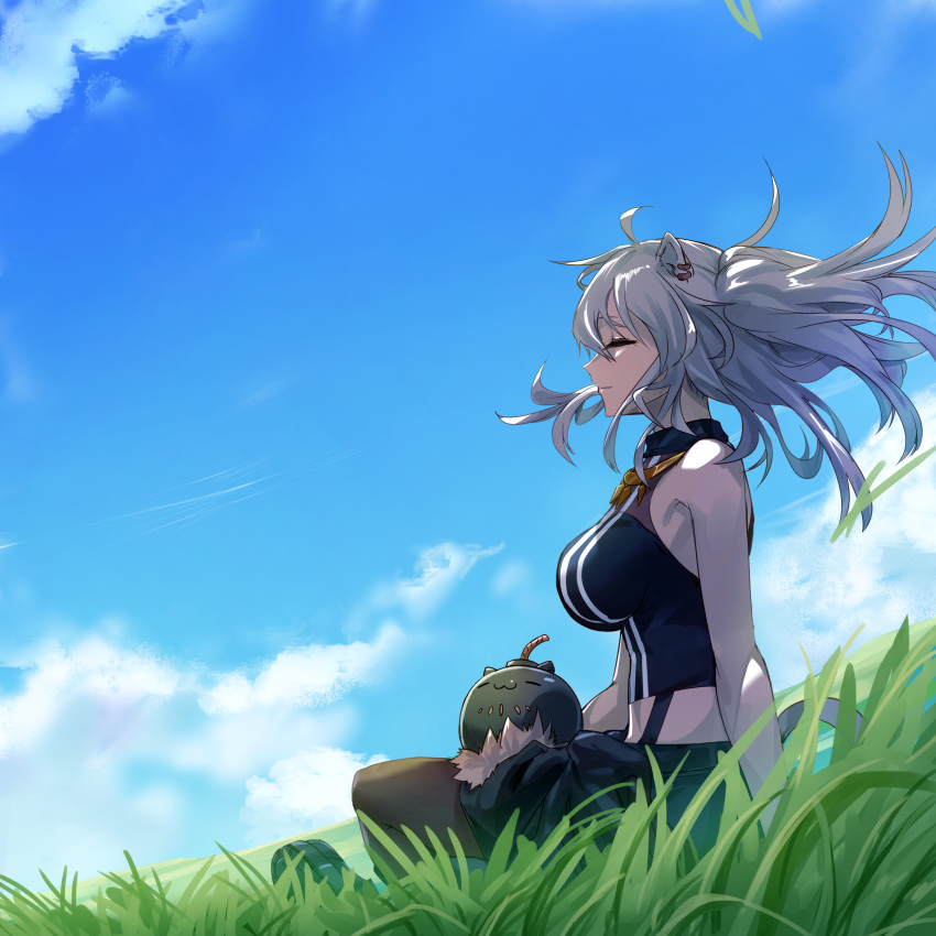 1girl absurdres animal_ears blue_sky breasts closed_eyes clouds grass grey_hair highres hololive junshi_(junbox) large_breasts lion_ears lion_tail long_hair on_lap shishiro_botan sitting sky smile ssrb tail virtual_youtuber wind