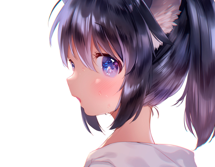 1girl animal_ear_fluff animal_ears black_hair blush close-up commentary_request face highres looking_at_viewer medium_hair mutou_mato open_mouth original ponytail sidelocks simple_background solo sweat upper_body violet_eyes white_background