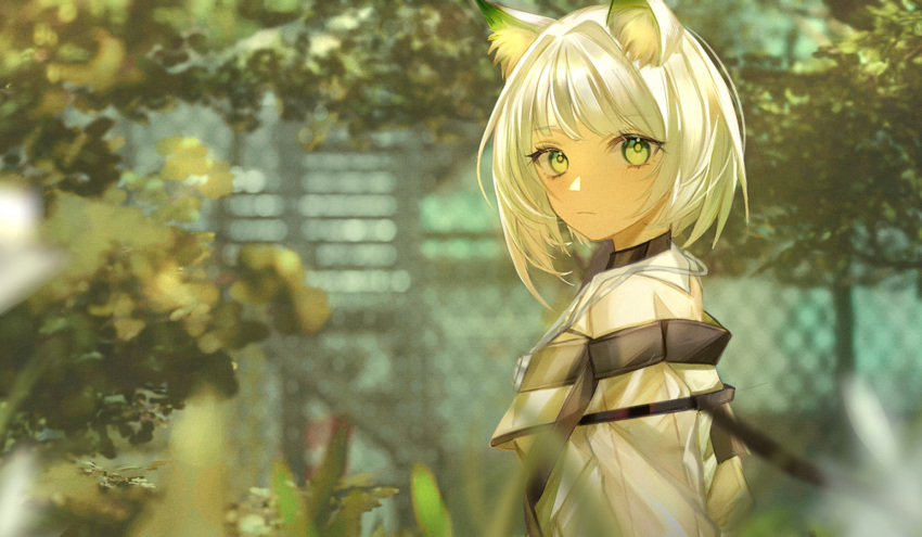 1girl animal_ear_fluff animal_ears arknights asymmetrical_hair blurry blurry_background blurry_foreground blush cat_ears closed_mouth coat collar commentary depth_of_field fence from_side frown gabriellel9700 green_eyes highres kal'tsit_(arknights) looking_at_viewer looking_to_the_side medium_hair off_shoulder outdoors plant see-through_silhouette solo upper_body white_coat white_hair