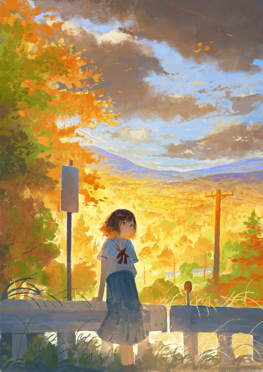 1girl arm_support bangs blue_skirt blush brown_eyes brown_hair closed_mouth clouds cloudy_sky expressionless fjsmu highres long_skirt mountain neckerchief original outdoors pleated_skirt railing red_neckerchief road_sign sailor_collar scenery school_uniform serafuku shirt short_hair short_sleeves sign skirt sky solo standing tree utility_pole white_sailor_collar white_shirt