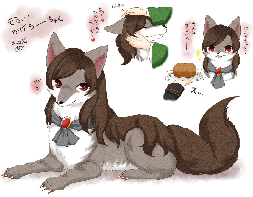 1226_waka animal_ears animalization brooch brown_fur brown_hair brown_tail claws disembodied_limb drooling food headpat highres imaizumi_kagerou_(wolf) jewelry long_hair meat red_eyes saliva sekibanki touhou tray wakasagihime white_background white_fur wolf wolf_ears