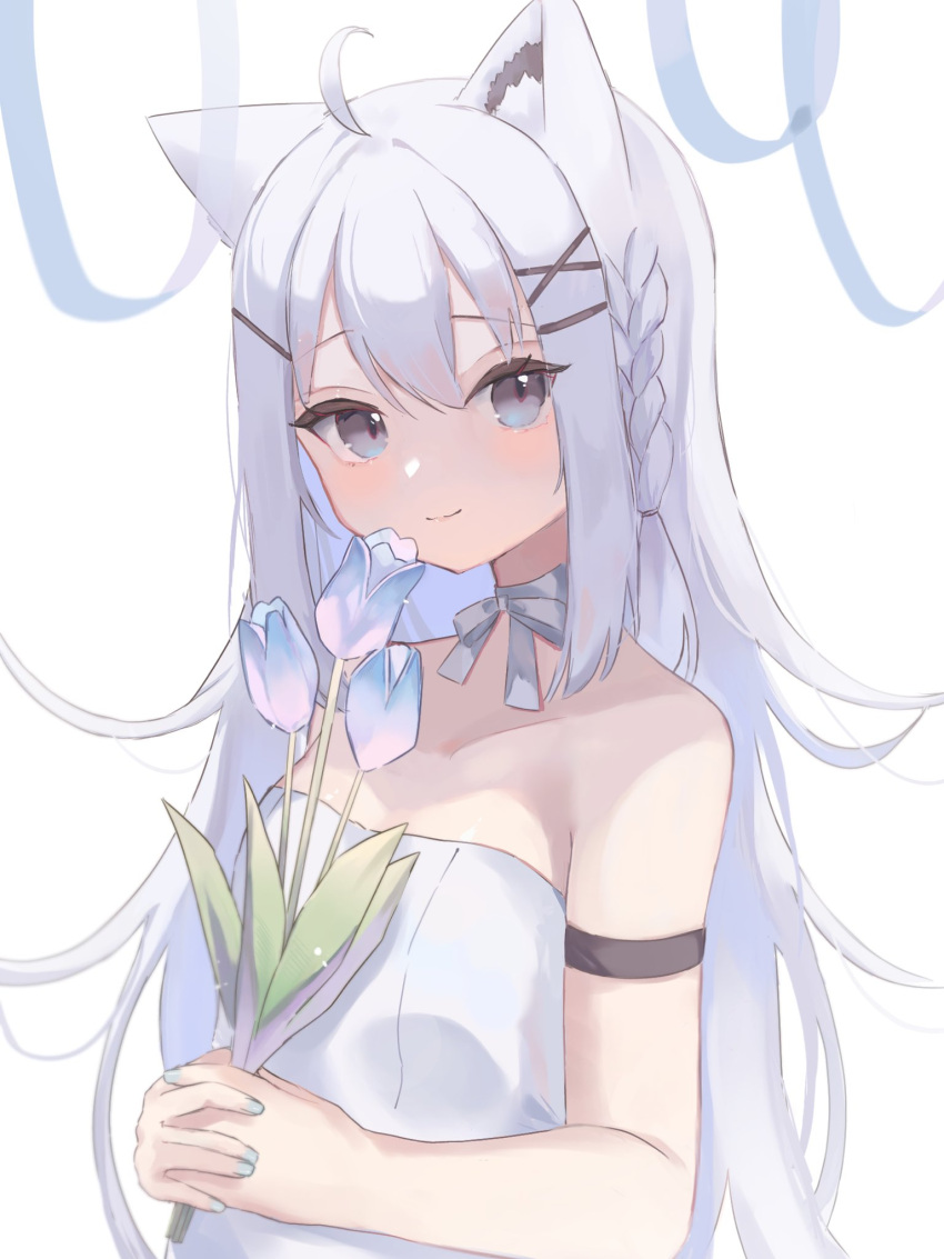 1girl ahoge animal_ears ao_kotoha arm_strap bangs bare_shoulders blue_nails braid breasts commentary_request dress eyebrows_visible_through_hair flower fox_ears fox_girl grey_eyes hair_between_eyes hair_ornament hairclip highres holding holding_flower hololive long_hair looking_at_viewer neck_ribbon own_hands_together ribbon shirakami_fubuki sidelocks simple_background single_braid small_breasts smile solo strapless strapless_dress tulip virtual_youtuber white_background white_dress white_hair