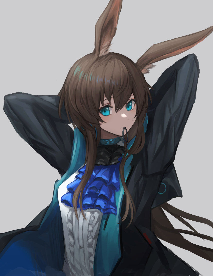 1girl absurdres amiya_(arknights) animal_ear_fluff animal_ears arknights ascot black_jacket blue_ascot blue_eyes brown_hair frills grey_background hair_tie_in_mouth highres jacket jewelry kote_menn long_hair mouth_hold neck_ring shirt simple_background solo tying_hair upper_body white_shirt