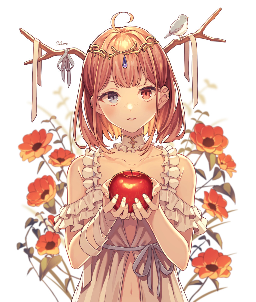 1girl absurdres ahoge antler_ornament antlers apple bangs bare_shoulders bird blue_eyes blush brown_hair center_opening circlet collarbone detached_collar dress eyebrows_visible_through_hair flower food frilled_dress frills fruit grey_ribbon heterochromia highres holding holding_food holding_fruit looking_at_viewer lq_saku navel original parted_lips red_eyes red_flower short_hair signature simple_background solo upper_body white_background white_dress