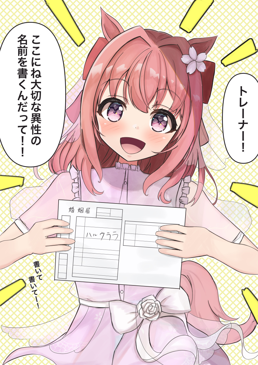 1girl absurdres alternate_costume animal_ears attouteki_ojousama casual commentary_request dress flower hair_flower hair_ornament haru_urara_(umamusume) highres horse_ears horse_girl horse_tail long_hair marriage_certificate_(object) open_mouth pink_hair simple_background solo tail translation_request umamusume violet_eyes