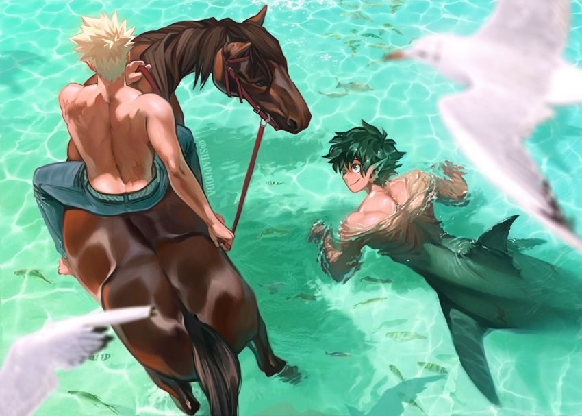 2boys alternate_universe animal artist_name ass bakugou_katsuki barefoot bird blonde_hair blue_pants blurry boku_no_hero_academia caustics closed_mouth commentary day denim depth_of_field english_commentary fins fish freckles from_above from_behind green_eyes green_hair holding holding_reins horse horseback_riding jeans looking_at_another male_focus merman midoriya_izuku monster_boy monsterification multiple_boys outdoors pants pointy_ears reins riding scar seagull shapooda short_hair sitting smile spiky_hair swimming topless_male twitter_username water