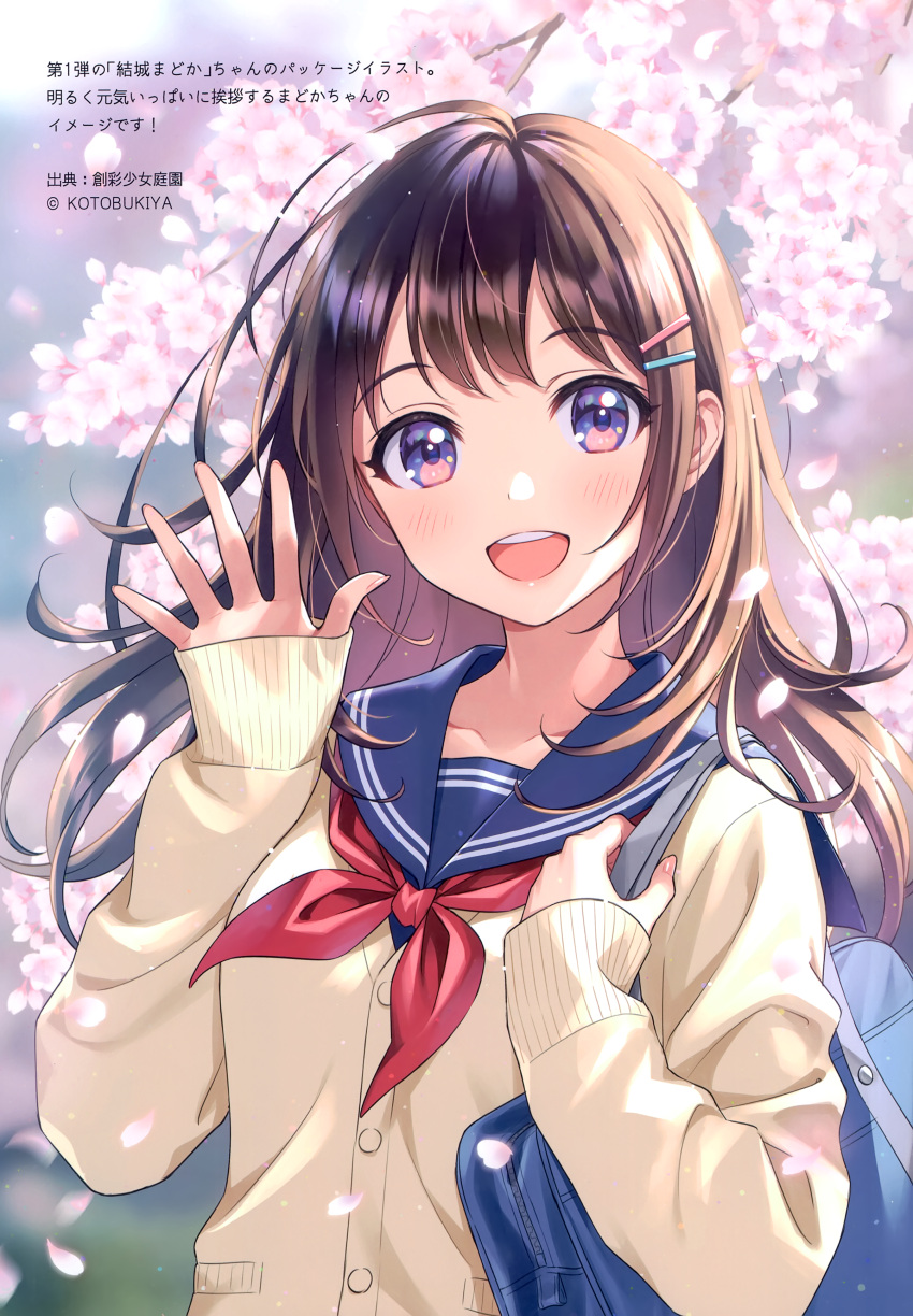 1girl absurdres bag bangs blush branch brown_hair buttons cherry_blossoms collarbone day eyebrows_visible_through_hair fingernails hair_ornament hairclip hand_up highres holding lips long_sleeves looking_at_viewer morikura_en open_mouth outdoors petals scan school_bag school_uniform serafuku shiny shiny_hair simple_background sleeves_past_wrists smile solo sousai_shoujo_teien teeth upper_body violet_eyes yuki_madoka